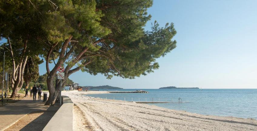Apartman Dobric Fažana エクステリア 写真